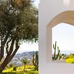 The Olive Tree - Seaview * Capo Vaticano
