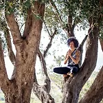 The Olive Tree - Seaview