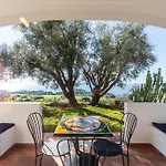 The Olive Tree - Seaview Capo Vaticano