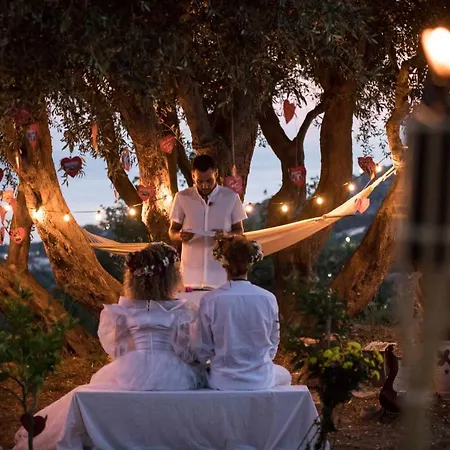 The Olive Tree - Seaview Appartamento Capo Vaticano