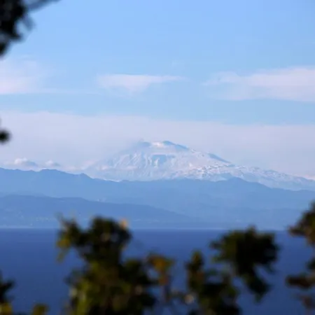 The Olive Tree - Seaview Capo Vaticano