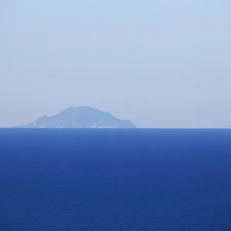 The Olive Tree - Seaview * Capo Vaticano