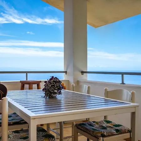 The Olive Tree - Seaview