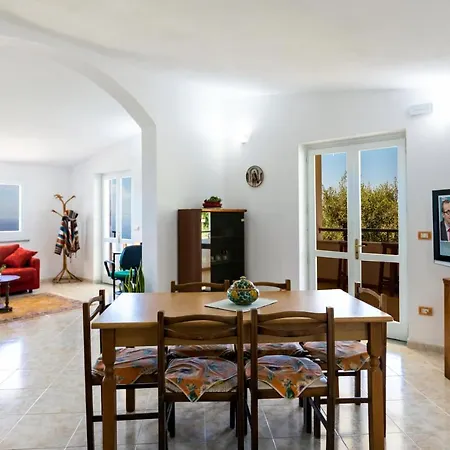 The Olive Tree - Seaview Capo Vaticano