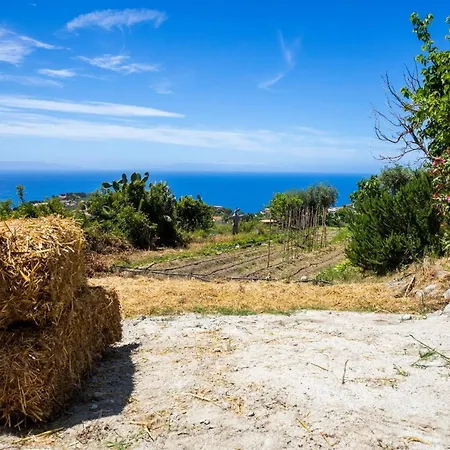 The Olive Tree - Seaview Apartment