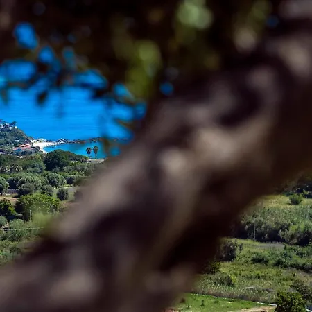 アパート The Olive Tree - Seaview *