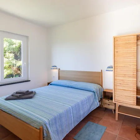 The Olive Tree - Seaview *