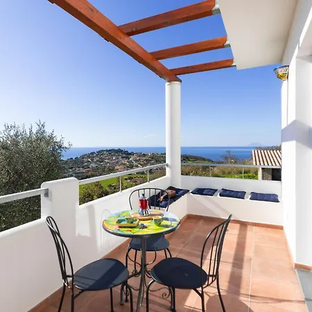 The Olive Tree - Seaview Apartment Capo Vaticano