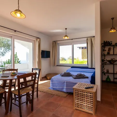 The Olive Tree - Seaview