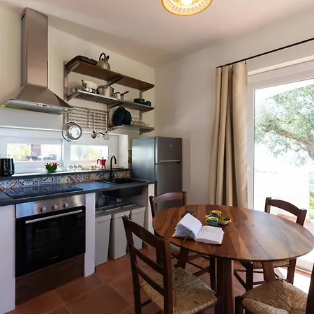 The Olive Tree - Seaview Apartment Capo Vaticano