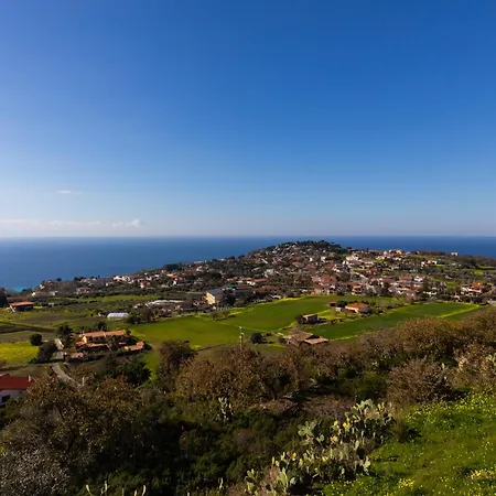 The Olive Tree - Seaview Apartment Capo Vaticano