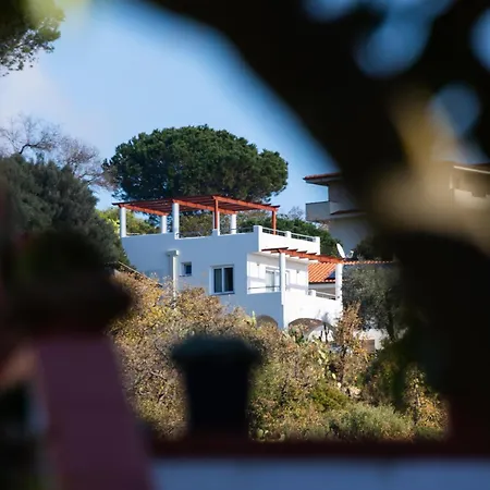 The Olive Tree - Seaview Appartamento