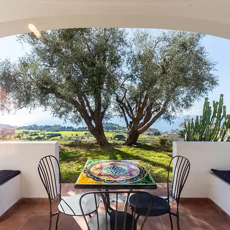 The Olive Tree - Seaview Capo Vaticano