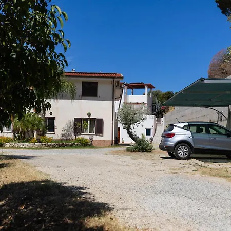 The Olive Tree - Seaview