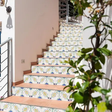 The Olive Tree - Seaview *