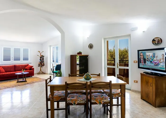 The Olive Tree - Seaview Capo Vaticano