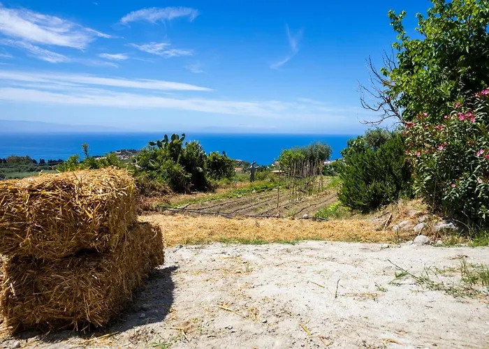 The Olive Tree - Seaview Apartment