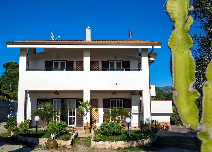 The Olive Tree - Seaview Apartment